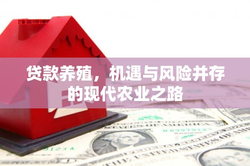 天宁贷款养殖，机遇与风险并存的现代农业之路