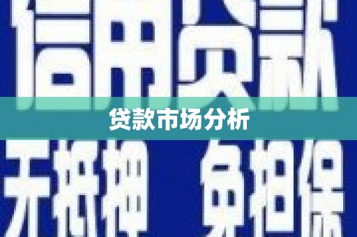 田林贷款市场分析
