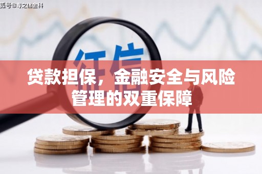 西丰贷款担保，金融安全与风险管理的双重保障