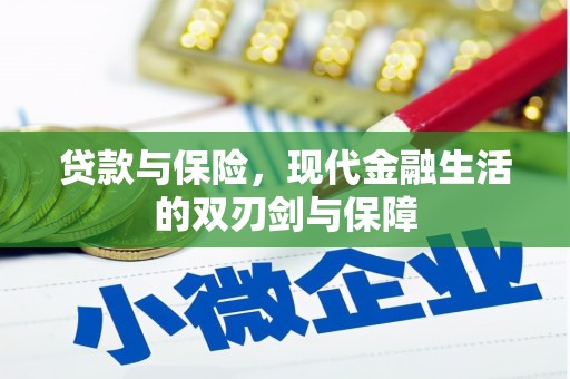 富川贷款与保险，现代金融生活的双刃剑与保障