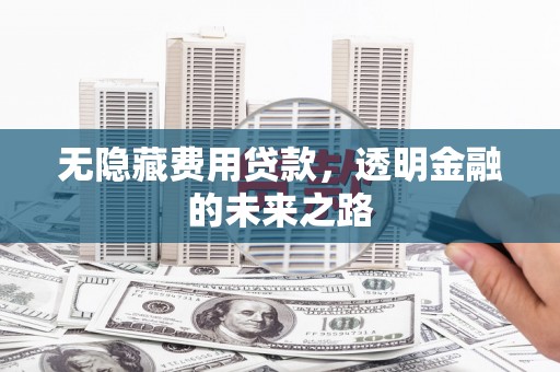 博湖无隐藏费用贷款，透明金融的未来之路