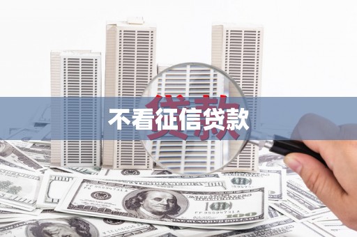 海原不看征信贷款
