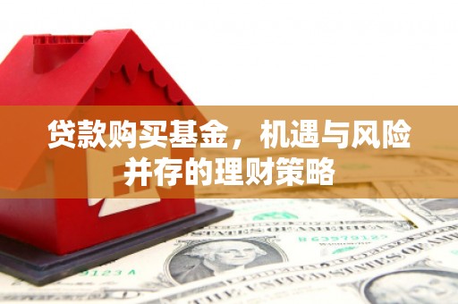 岱岳贷款购买基金，机遇与风险并存的理财策略