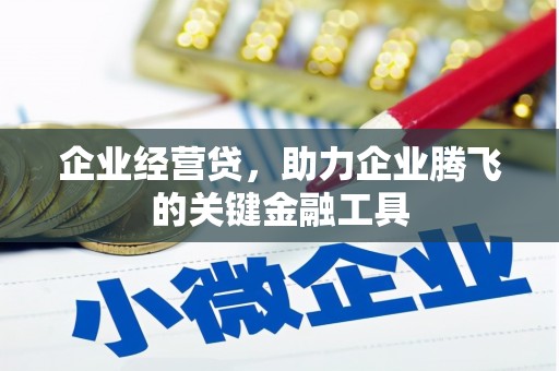 子洲企业经营贷，助力企业腾飞的关键金融工具