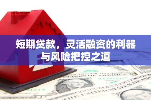 郴州短期贷款，灵活融资的利器与风险把控之道