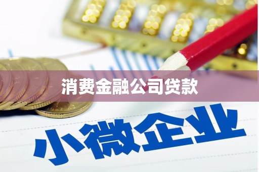 彬县消费金融公司贷款