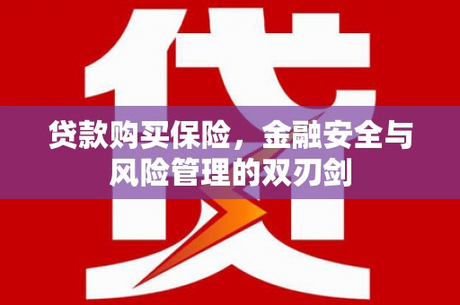 灵石贷款购买保险，金融安全与风险管理的双刃剑