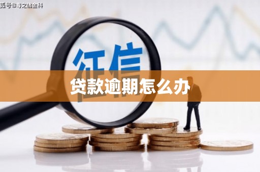 北市贷款逾期怎么办