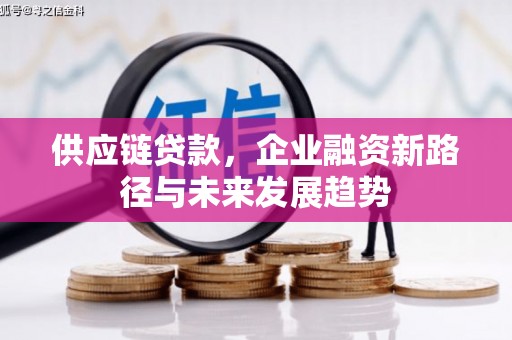 兴安供应链贷款，企业融资新路径与未来发展趋势