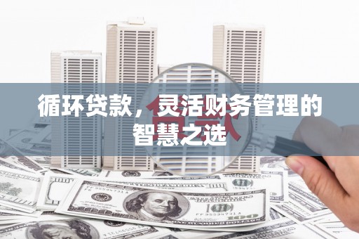 瑞芳循环贷款，灵活财务管理的智慧之选