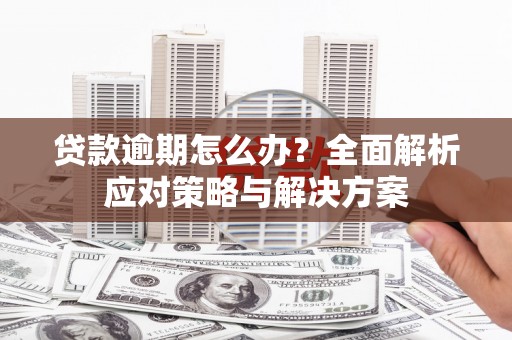 西固贷款逾期怎么办？全面解析应对策略与解决方案