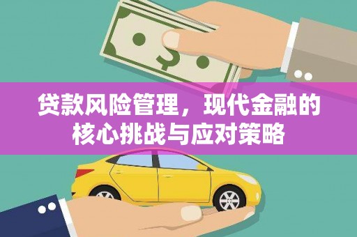 施甸贷款风险管理，现代金融的核心挑战与应对策略