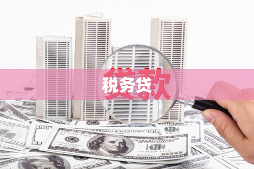 大兴安岭税务贷