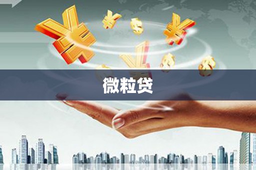 秀山微粒贷