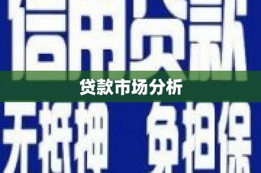 巧家贷款市场分析