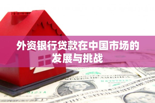 成武外资银行贷款在中国市场的发展与挑战