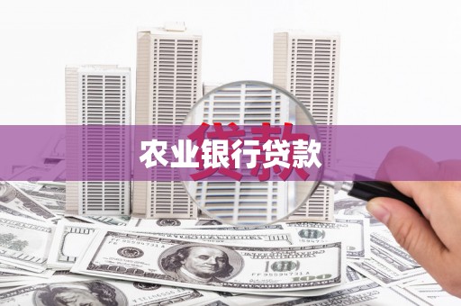 狮子山农业银行贷款