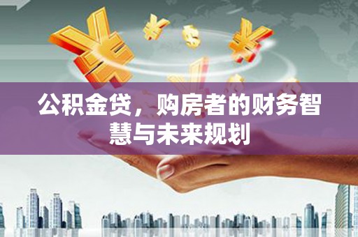 南乐公积金贷，购房者的财务智慧与未来规划