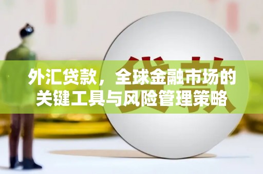 五股外汇贷款，全球金融市场的关键工具与风险管理策略