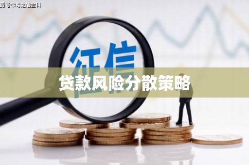 阆中贷款风险分散策略