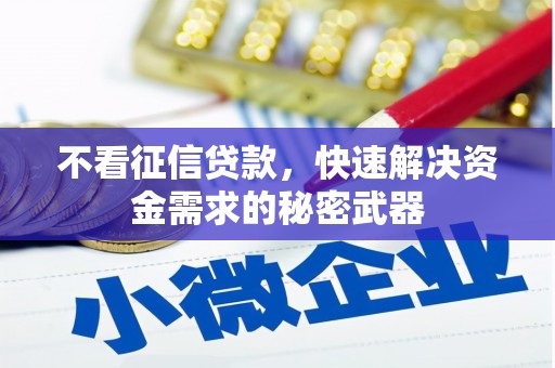随州不看征信贷款，快速解决资金需求的秘密武器