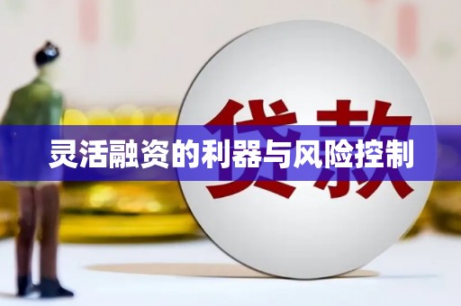 任城灵活融资的利器与风险控制