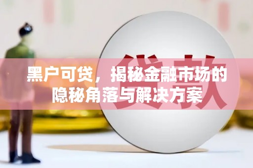 镇巴黑户可贷，揭秘金融市场的隐秘角落与解决方案