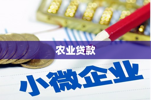 新华农业贷款