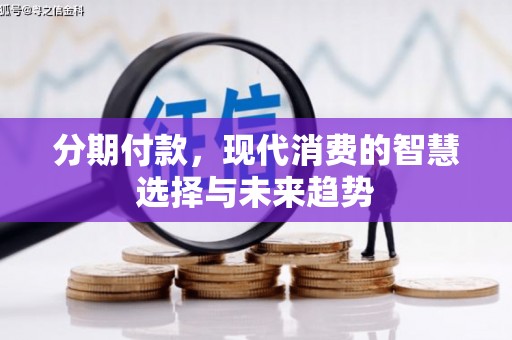 善化分期付款，现代消费的智慧选择与未来趋势
