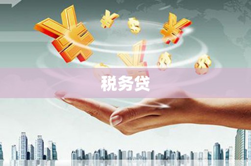 米东税务贷