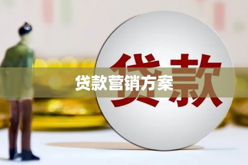 茂县贷款营销方案