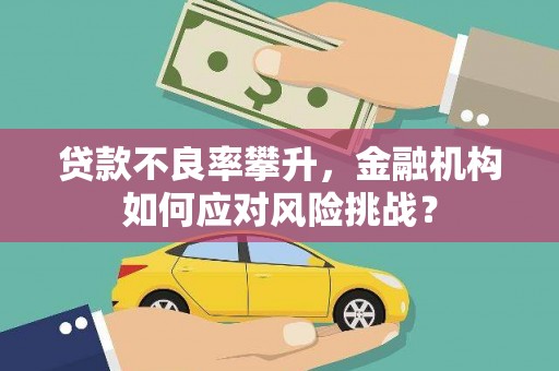 定襄贷款不良率攀升，金融机构如何应对风险挑战？