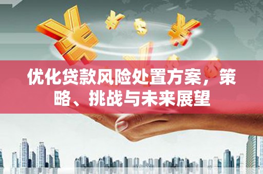 六枝优化贷款风险处置方案，策略、挑战与未来展望