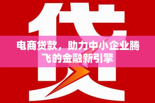 盐田电商贷款，助力中小企业腾飞的金融新引擎