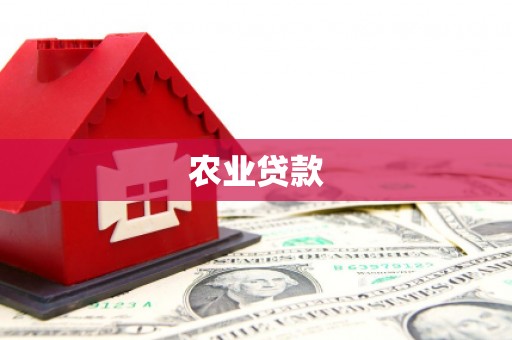 开阳农业贷款