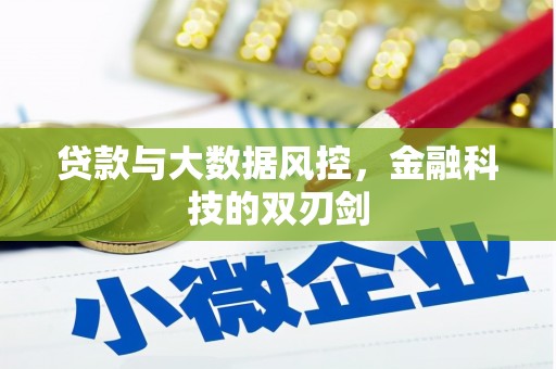 丰满贷款与大数据风控，金融科技的双刃剑