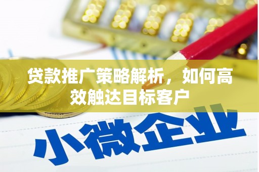 大林贷款推广策略解析，如何高效触达目标客户
