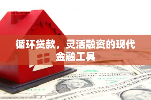 琅琊循环贷款，灵活融资的现代金融工具