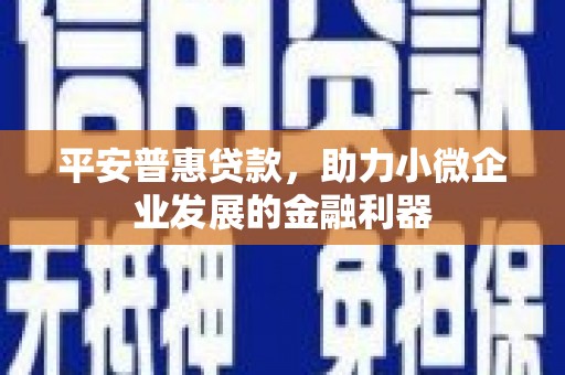 原州平安普惠贷款，助力小微企业发展的金融利器