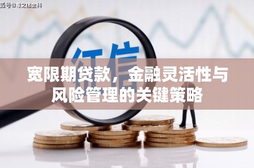 山阴宽限期贷款，金融灵活性与风险管理的关键策略