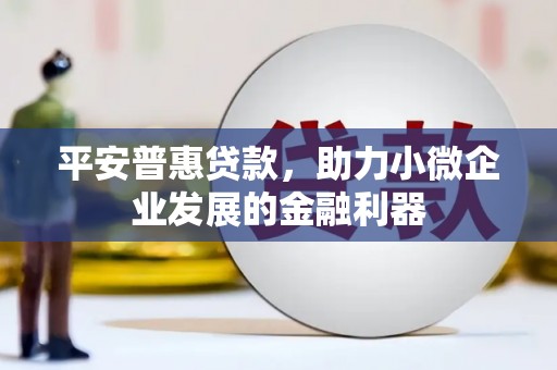 商州平安普惠贷款，助力小微企业发展的金融利器