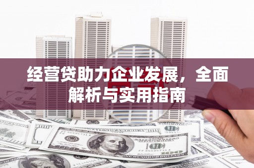 定州经营贷助力企业发展，全面解析与实用指南