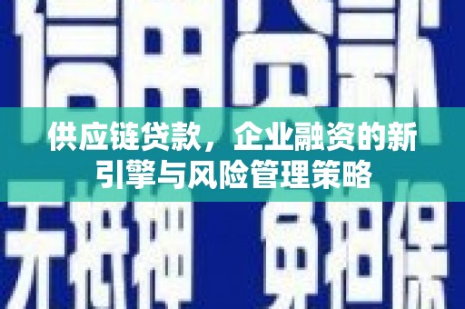 泸西供应链贷款，企业融资的新引擎与风险管理策略
