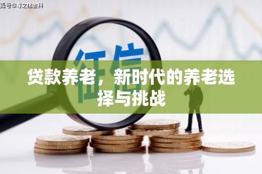 昆明贷款养老，新时代的养老选择与挑战