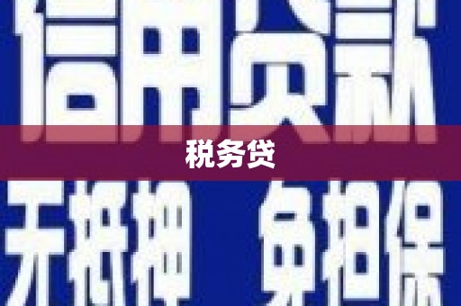 滦县税务贷