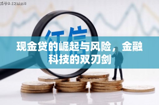 桐城现金贷的崛起与风险，金融科技的双刃剑