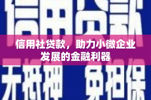 楠西信用社贷款，助力小微企业发展的金融利器