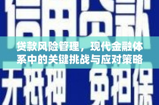 永定贷款风险管理，现代金融体系中的关键挑战与应对策略