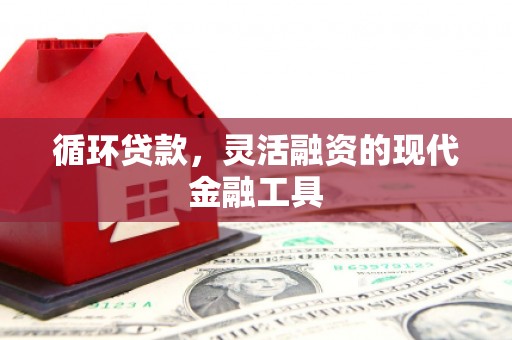 乳源循环贷款，灵活融资的现代金融工具
