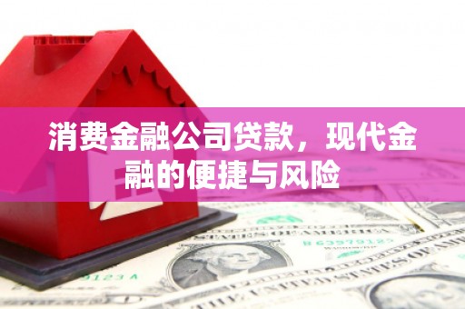 东坡消费金融公司贷款，现代金融的便捷与风险